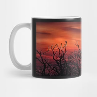 THE PEREGRINE SUNSET Mug